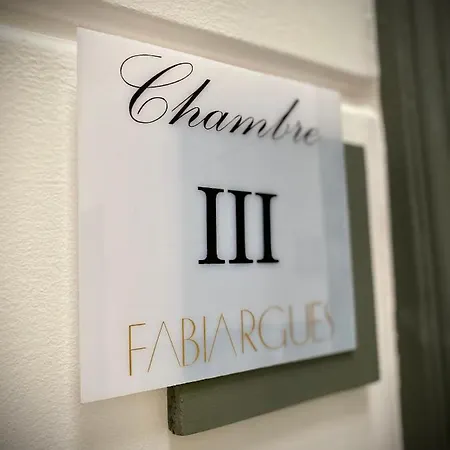 게스트하우스 Chateau De Fabiargues 생-앙부와즈
