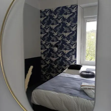 Chateau De Fabiargues 4* 생-앙부와즈