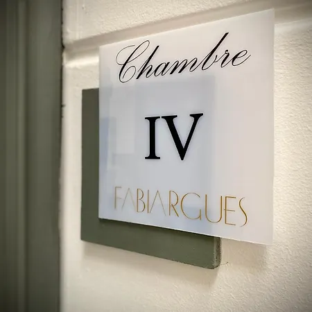 게스트하우스 Chateau De Fabiargues