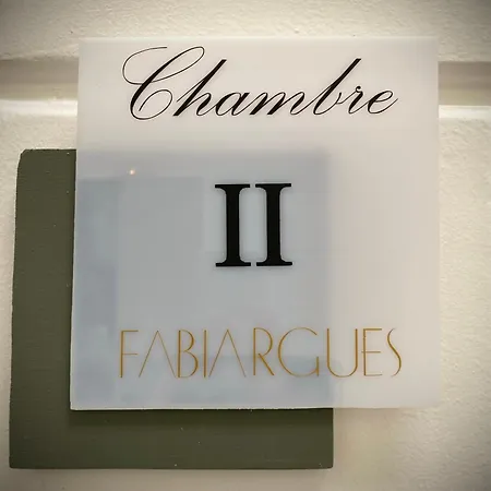 게스트하우스 Chateau De Fabiargues 생-앙부와즈